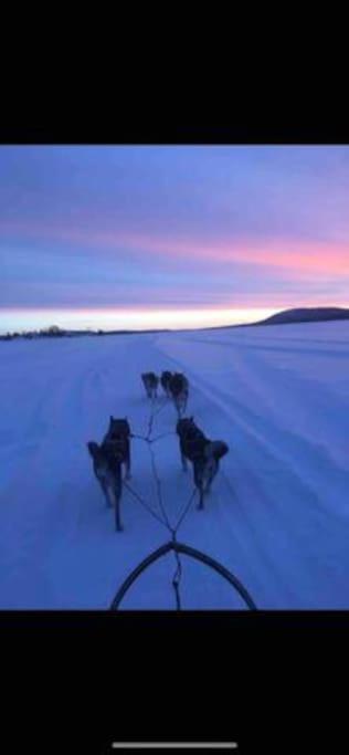 Northern Light Huts - Paradise Lapland Kiruna Buitenkant foto